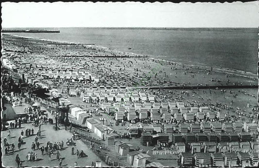 BLANCKENBERGE - NEDERALD - PANORAMA- V1954