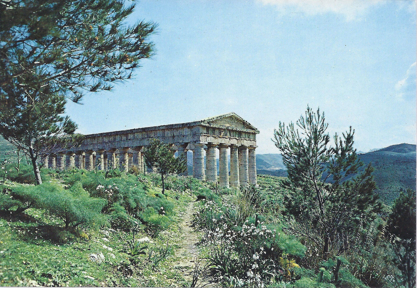 SEGESTA - IL TEMPIO - V1995