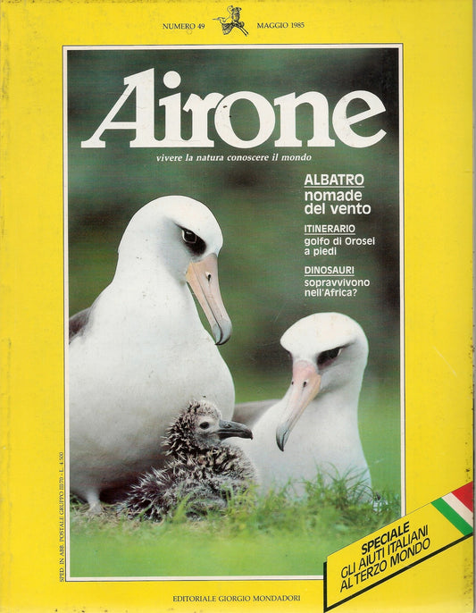 AIRONE N. 49 - MAGGIO 1985 - ALBATRO NOMADE DEL VENTO