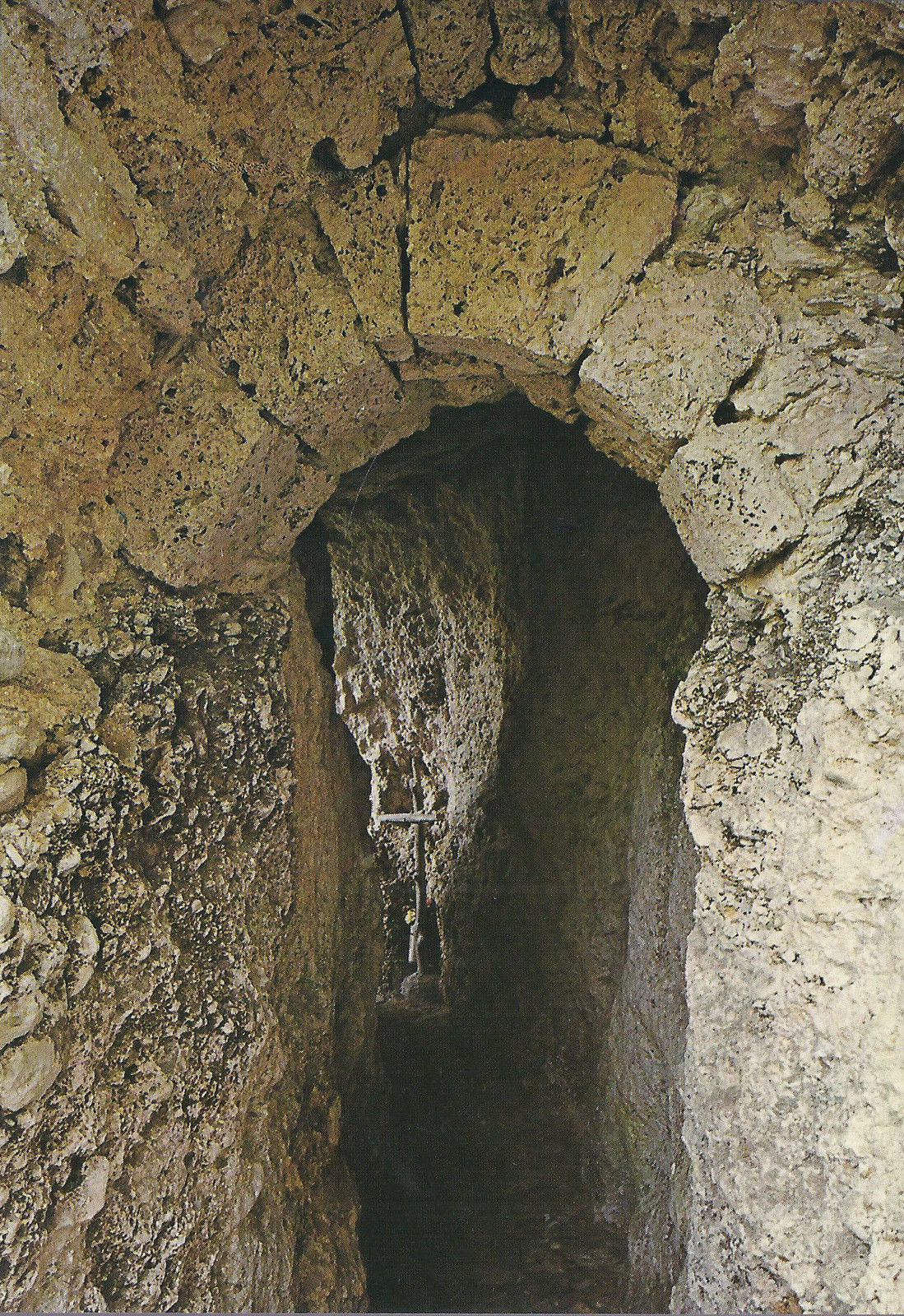 RIETI - SANTUARIO DI FONTECOLOMBO - SACRO SPECO - V 1995 - F