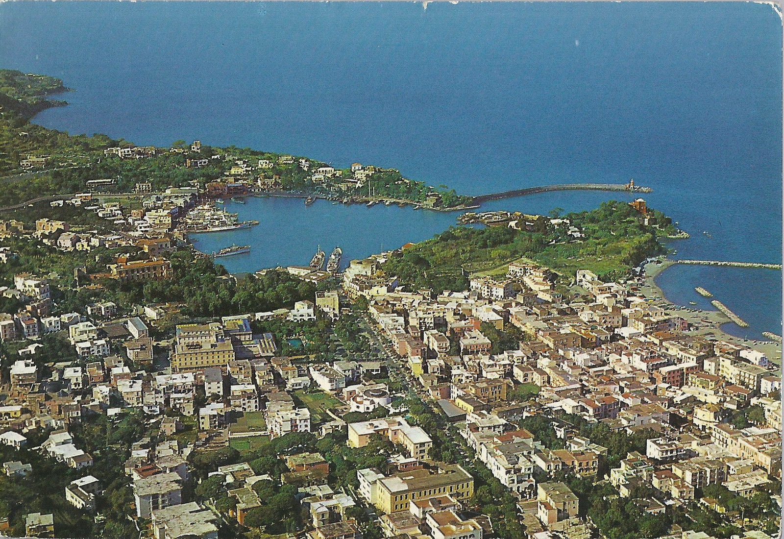 ISCHIA - IL PORTO - V 1980 - FG - Ediz. Interdipress