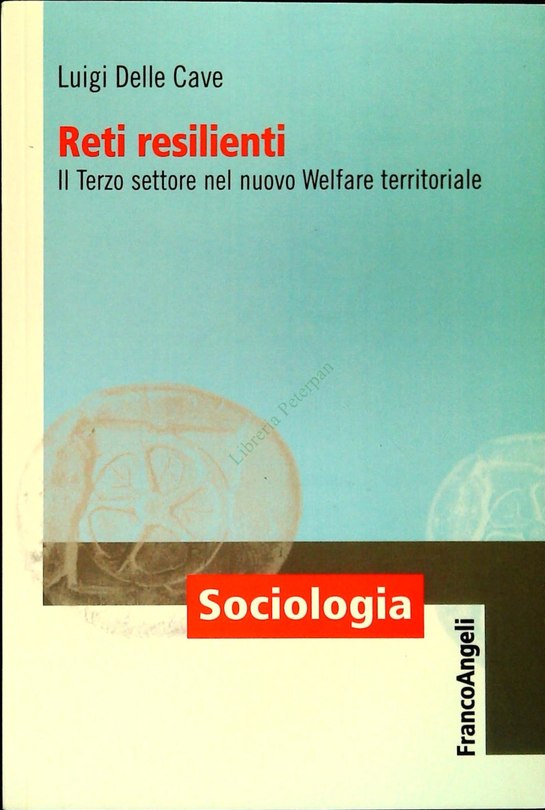 RETI RESILIENTI - LUIGI DELLE CAVE