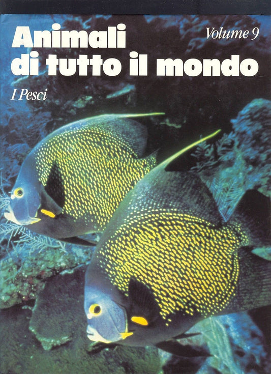 ANIMALI DI TUTTO IL MONDO - I PESCI