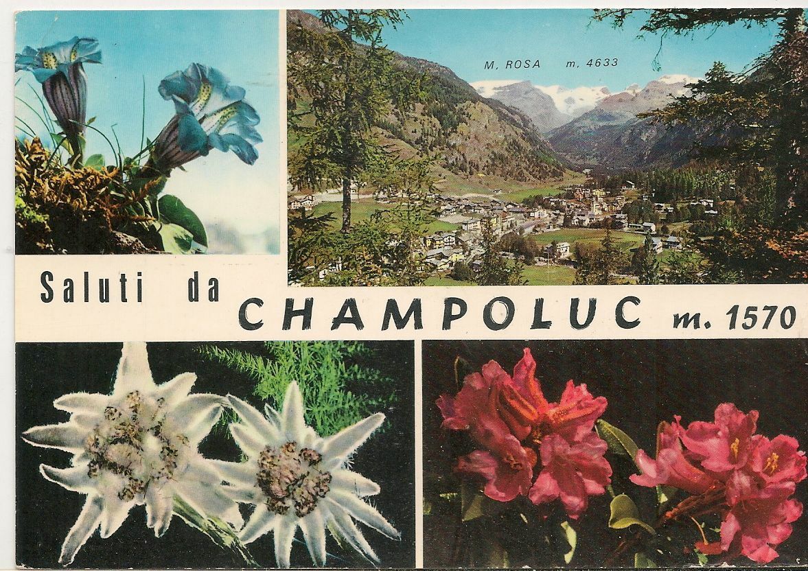 SALUTI DA CHAMPOLUC - VEDUTA CON FIORI - NV
