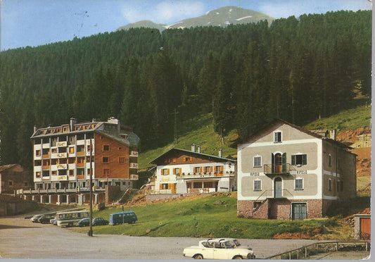 S. CATERINA VALFURVA - PARCO NAZIONALE DELLO STELVIO - V 197
