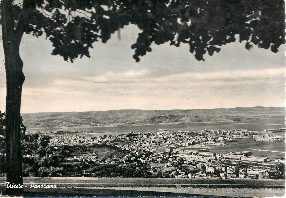 TRIESTE - PANORAMA - VSD