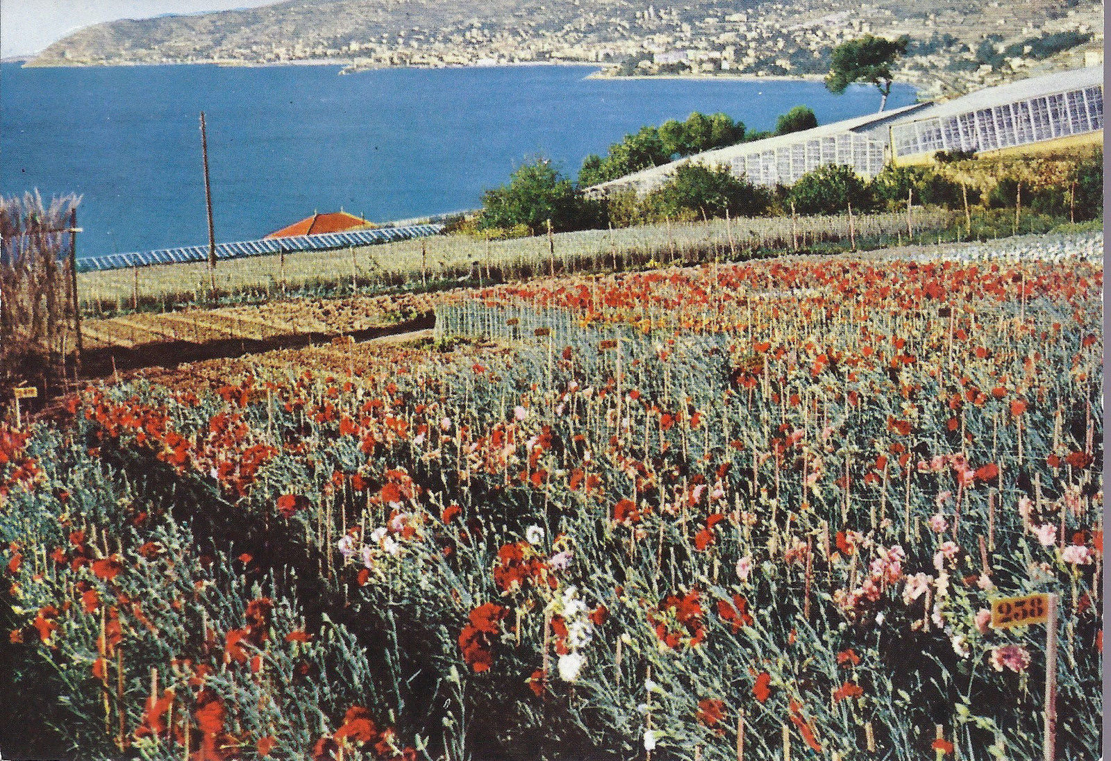 SANREMO - PANORAMA - NV