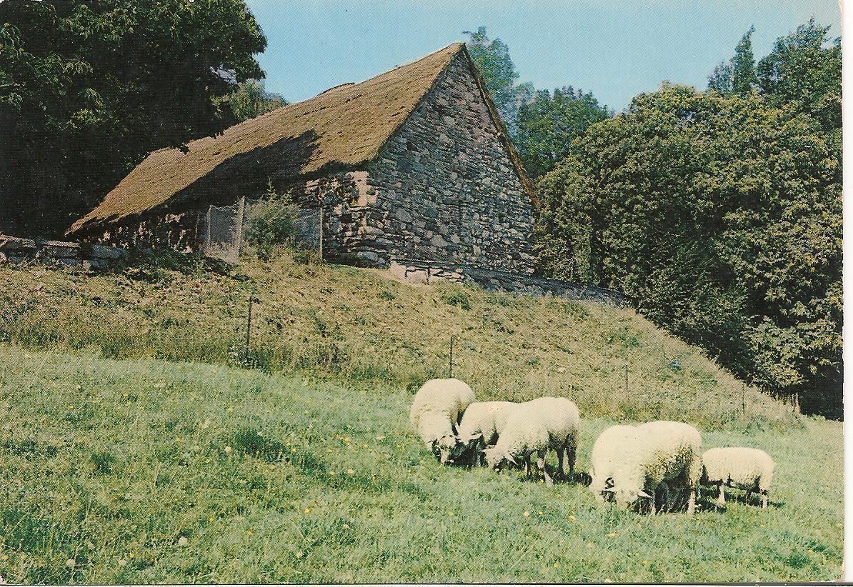 LOURDES - CITE'-SECOURS-SAINT-PIERRE - LA CHAPELLE DE S