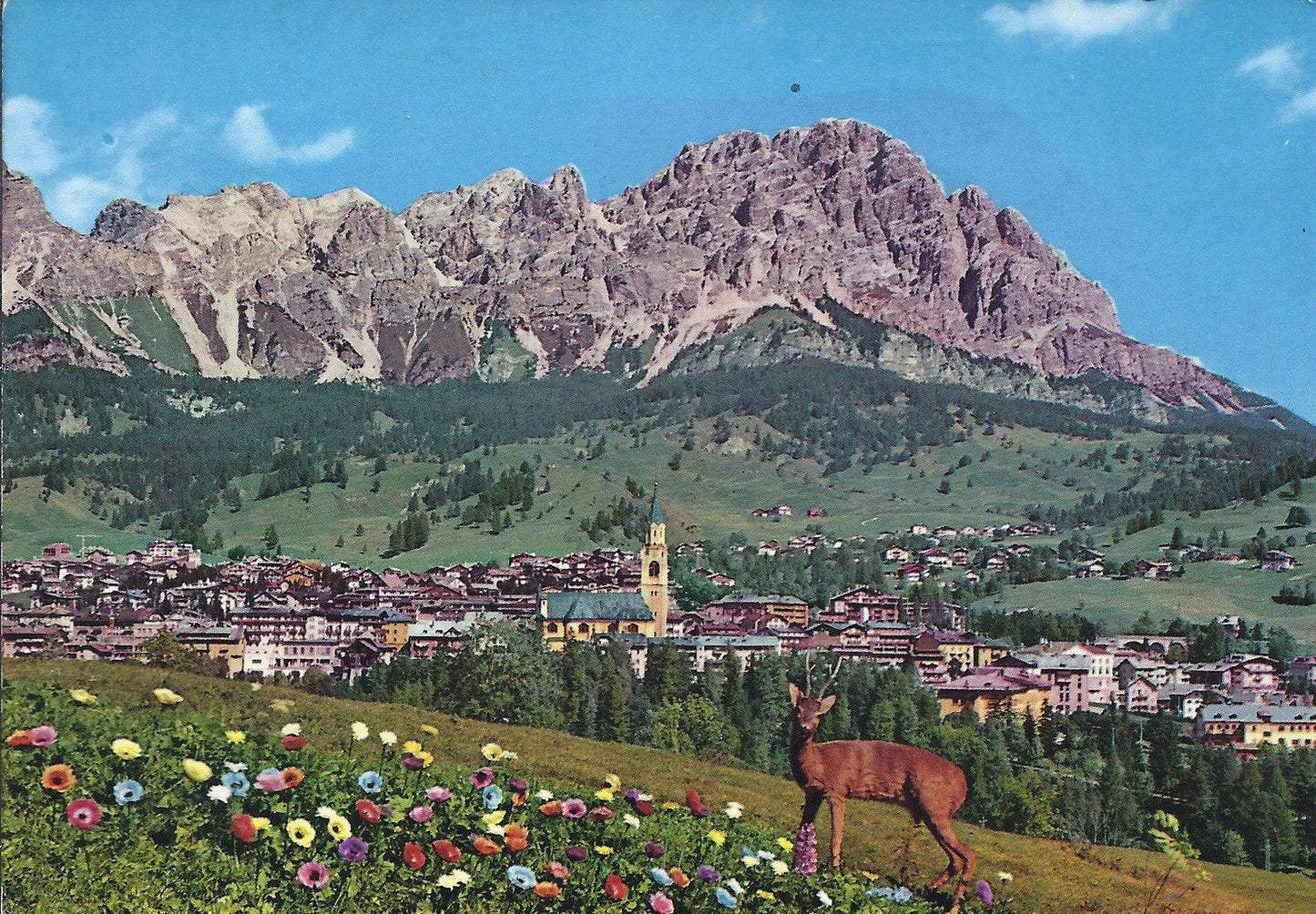 DOLOMITI - CORTINA D'AMPEZZO - MONTE CRISTALLO - V1969