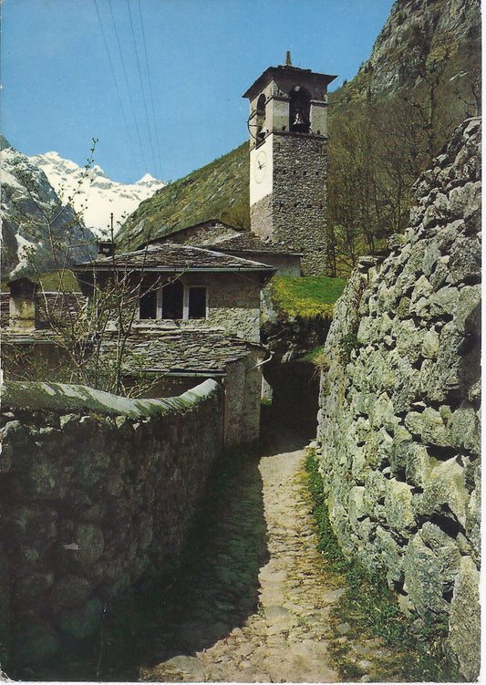 VALMASINO - S. MARTINO - V 1982 - FG
