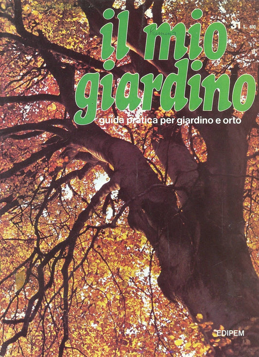 IL MIO GIARDINO N 31
