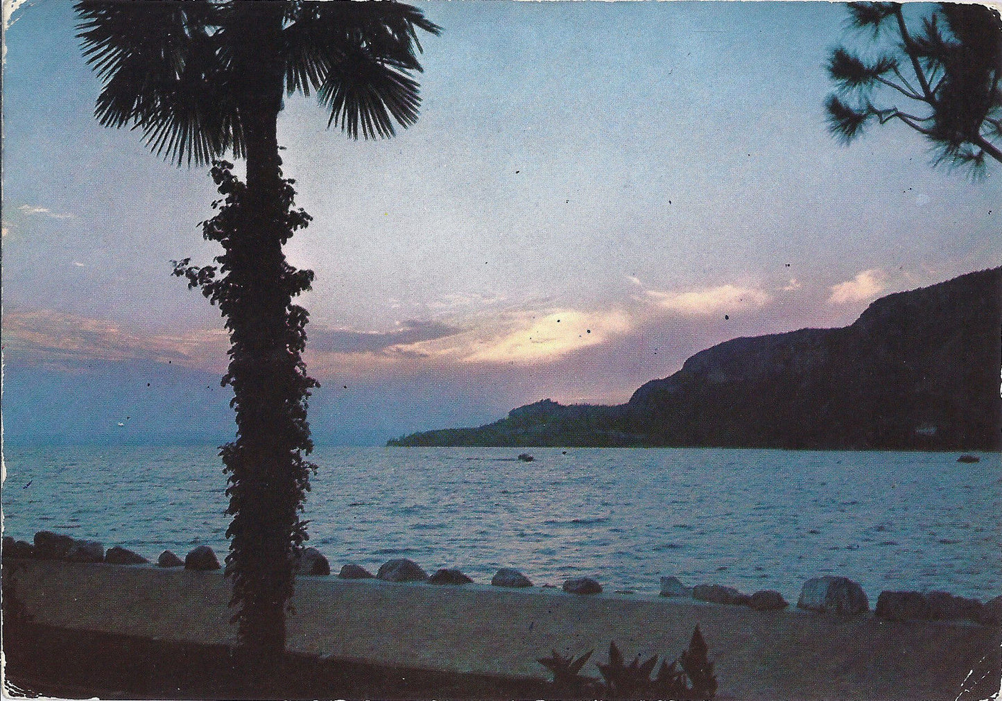GARDA - LAGO DI GARDA - GARDASEE - V1965