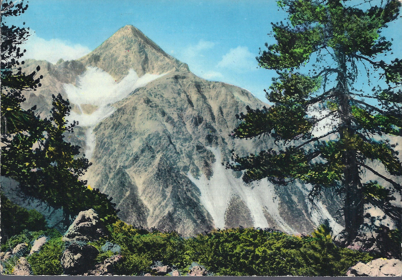 CESANA TORINESE - MONTE CHABERTON - V 1966 - FG