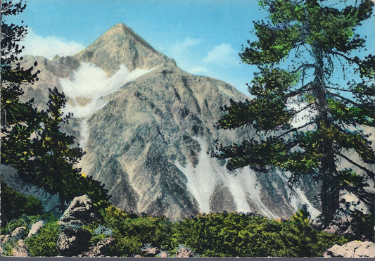 CESANA TORINESE - MONTE CHABERTON - V 1966 - FG