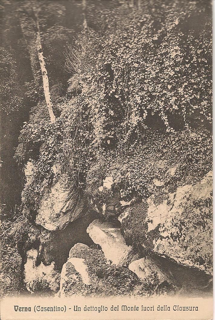 VERNA - UN DETTAGLIO DEL MONTE FUORI DELLA CLAUSURA - V1912