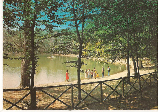FORESTA UMBRA - IL LAGHETTO - NV