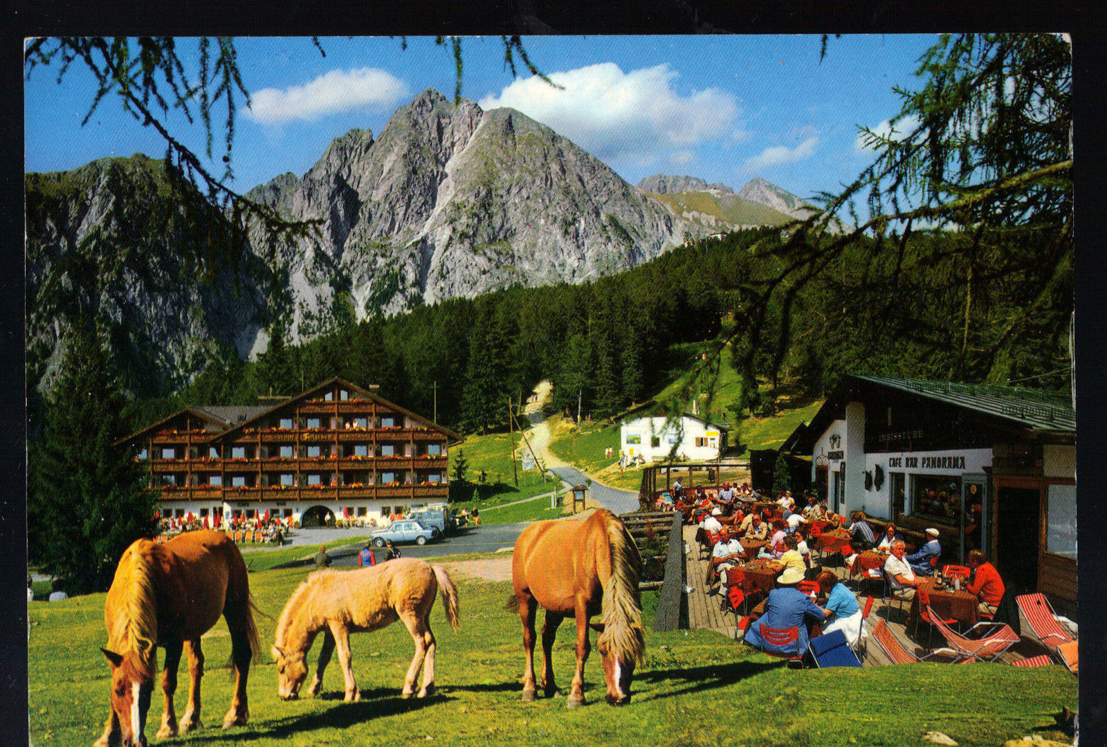 AVALENGO, FALZABEN CON IVIGNA - HALFLING, FALZABEN MIT IFING