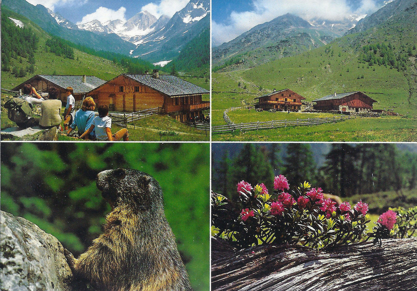 SENALES - VAL DI FOSSE - SCHNALS - PFOSSENTAL - EISHOF-ALM -