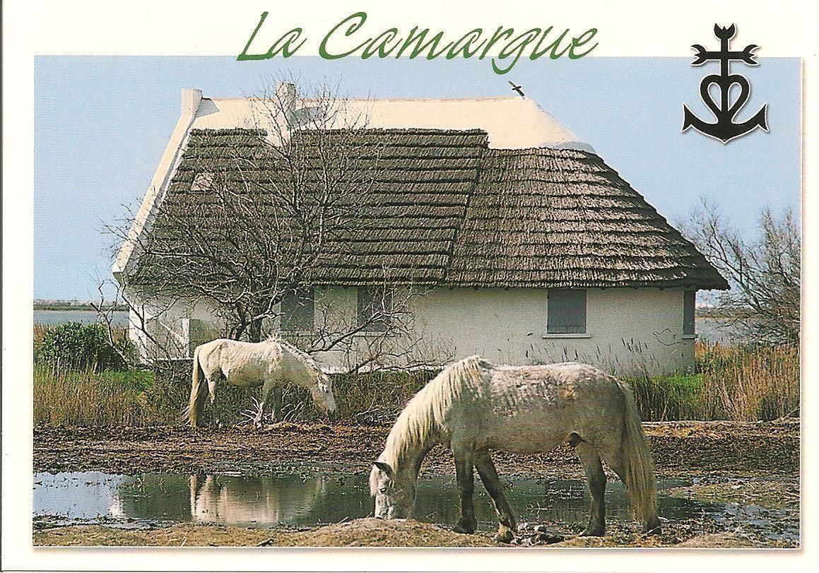LA CAMARGUE - PAESAGGIO - NV