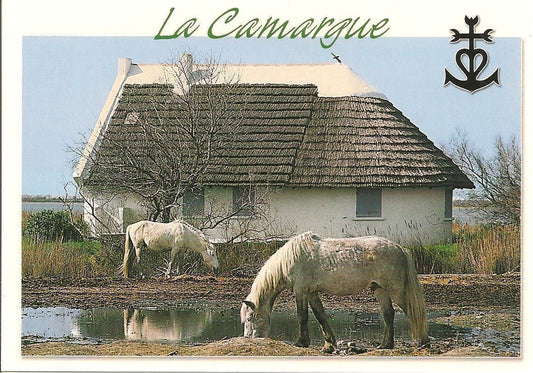 LA CAMARGUE - PAESAGGIO - NV