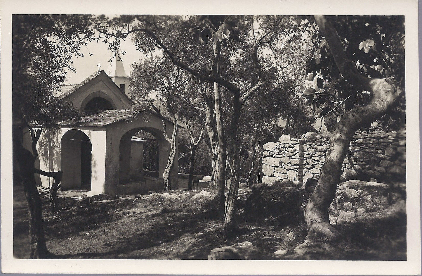 RAPALLO - MONTE ALLEGRO - NV - FP