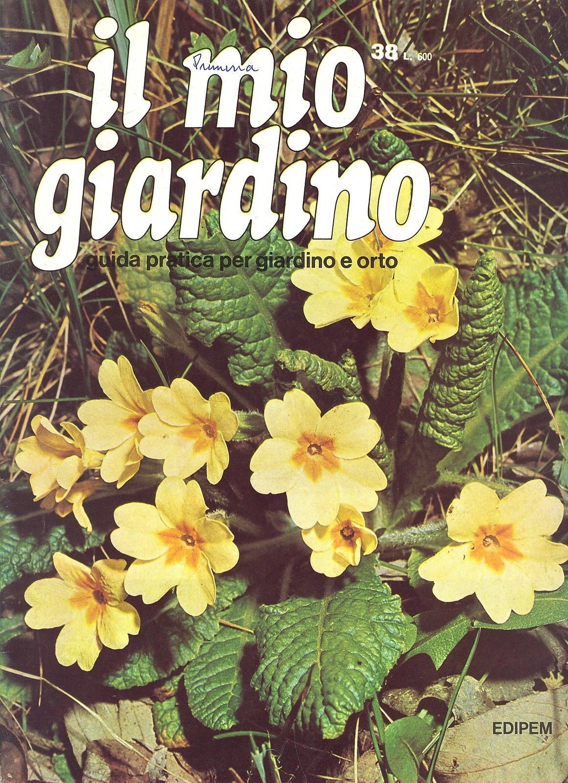 IL MIO GIARDINO N 38