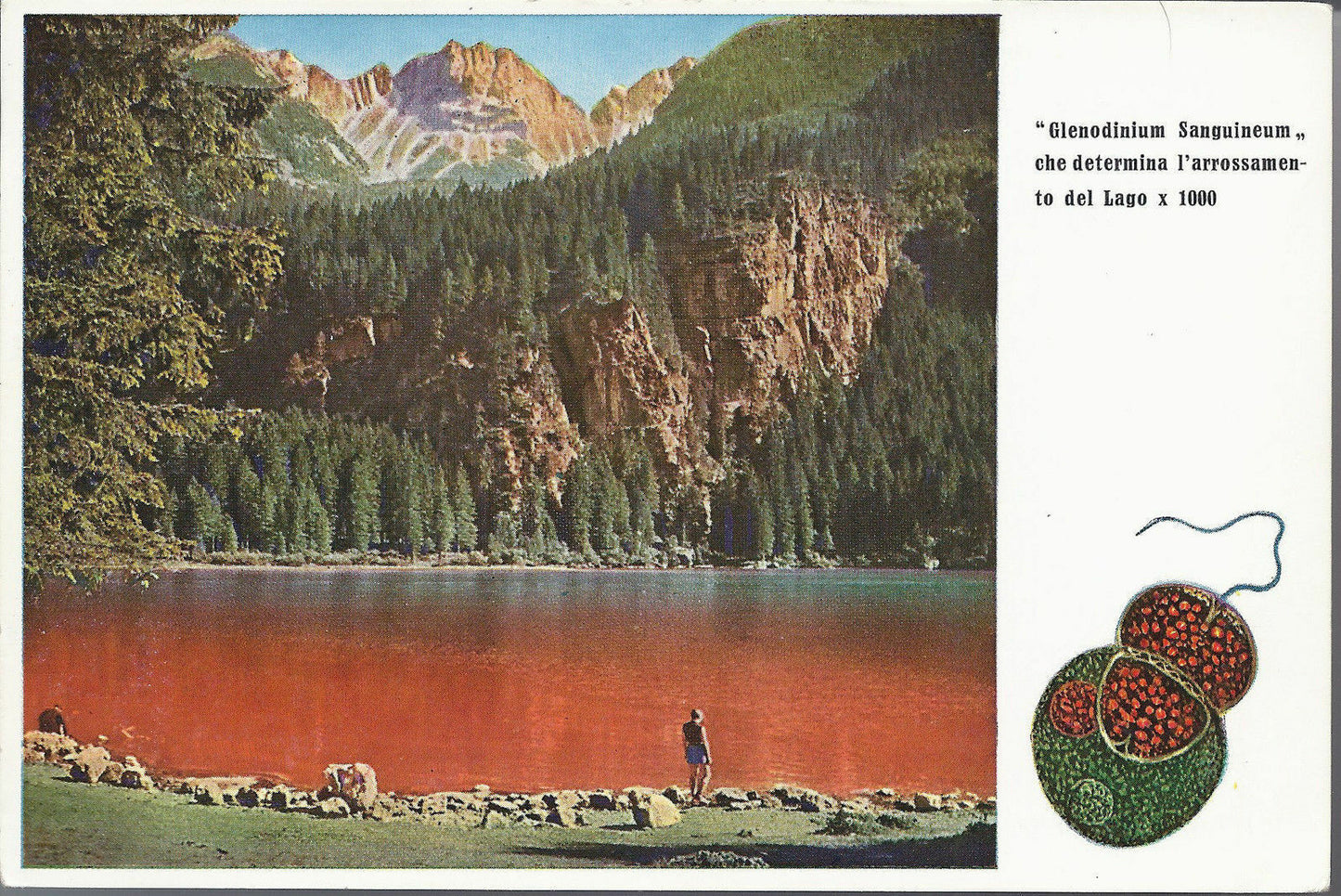 LAGO DI TOVEL - LAGO ROSSO - TUENNO - VIBSD