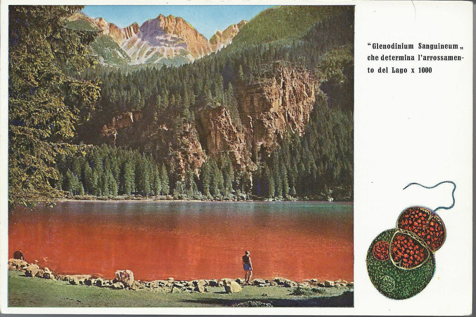 LAGO DI TOVEL - LAGO ROSSO - TUENNO - VIBSD