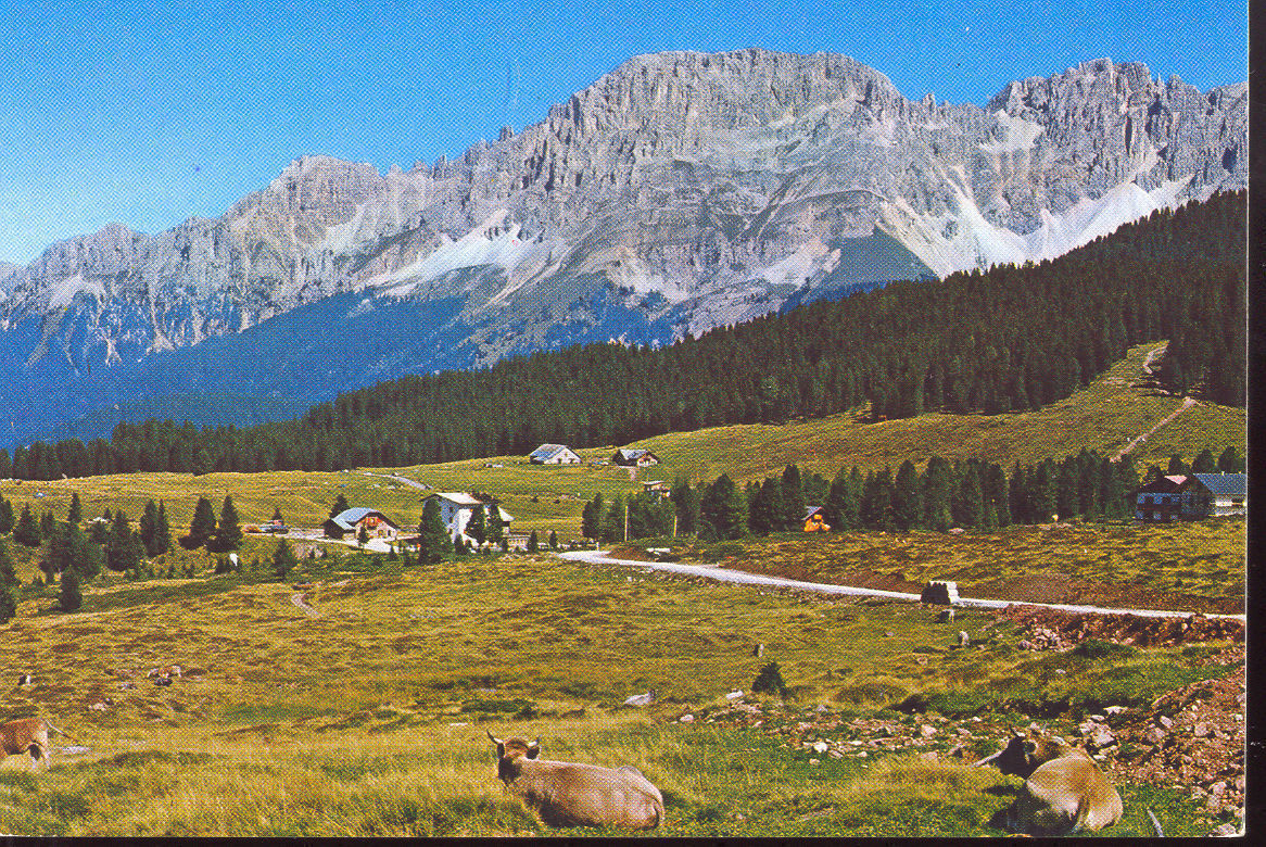 PASSO LAVAZE' COL GRUPPO DEL LATEMAR - V1978