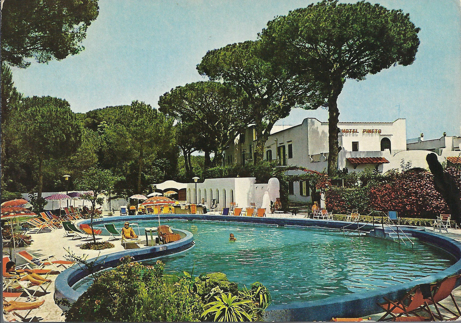 ISCHIA PONTE - HOTEL PINETA - V1979