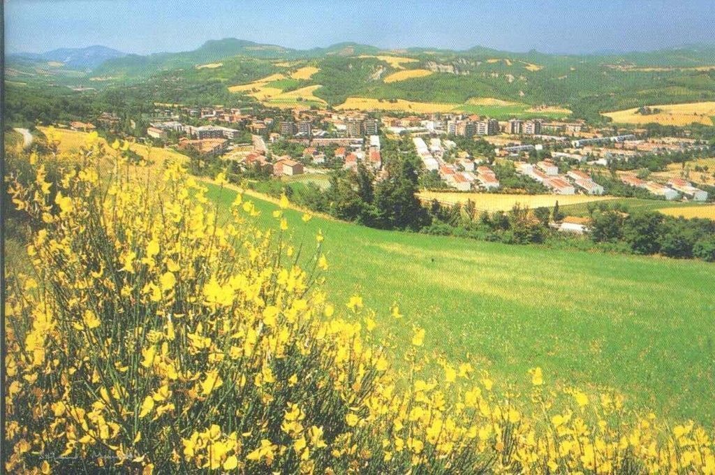 PIANORO NUOVO - PANORAMA - NV