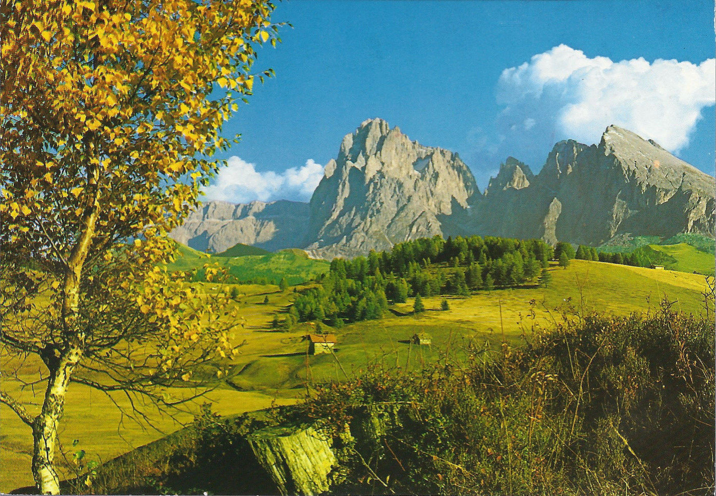 DOLOMITI - ALPE DI SIUSI - IL SASSOLUNGO - SEISER ALM -  LAN