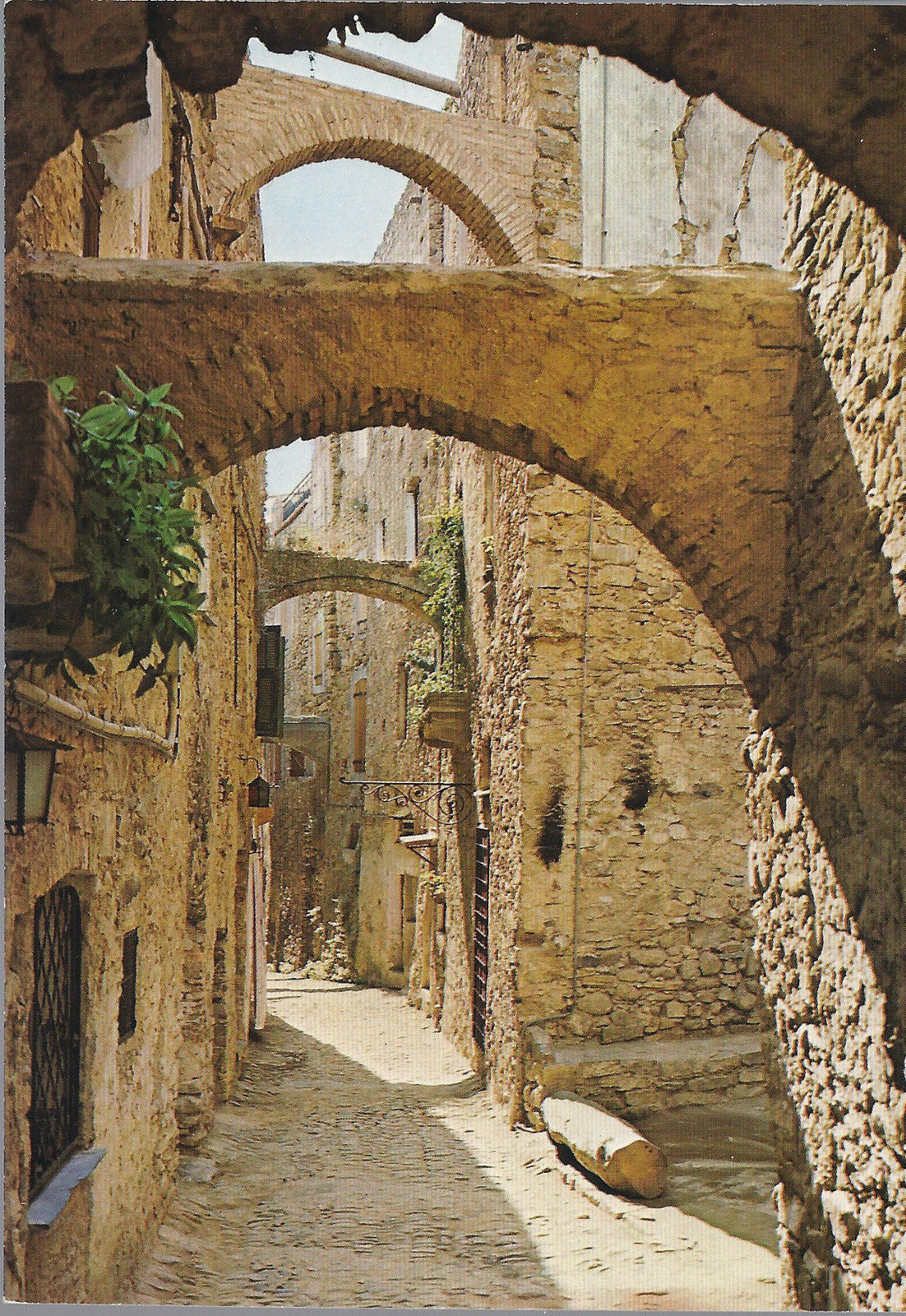 BUSSANA VECCHIA - RIVIERA DEI FIORI - NV