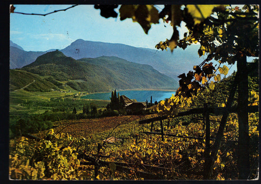 ANSITZ RINGBERG (SUDTIROLER WEINMUSEUM) GEGEN KALTERERSEE - 