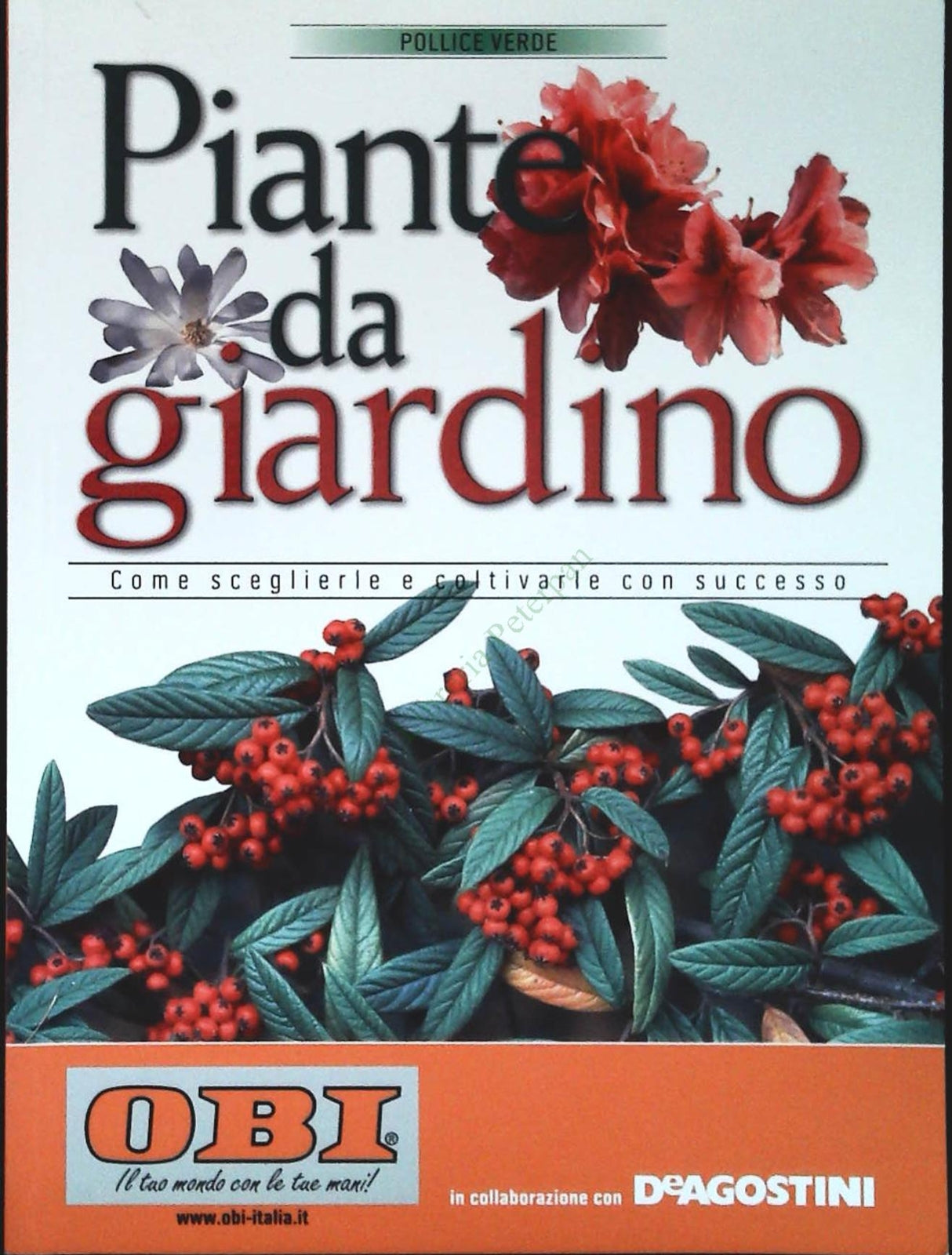 PIANTE DA GIARDINO - OBI-DE AGOSTINI 2011 - OUTLET DEL LIBRO