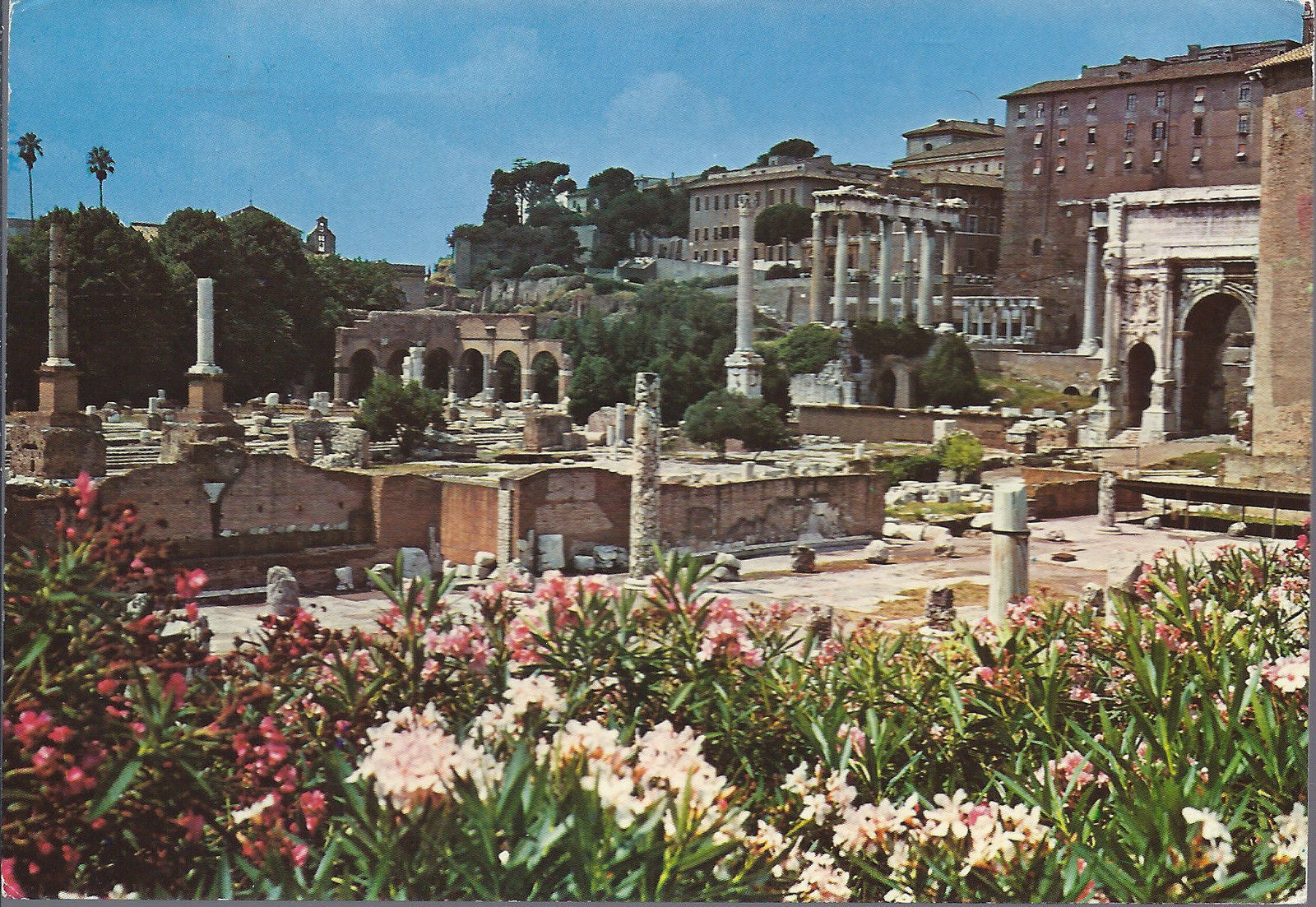 ROMA - FORO ROMANO - V1982