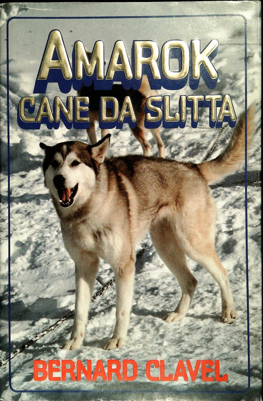 AMAROK CANE DA SLITTA-  BERNARD CLAVAL