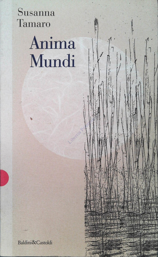 ANIMA MUNDI - SUSANNA TAMARO - BALDINI e CASTOLDI 1997