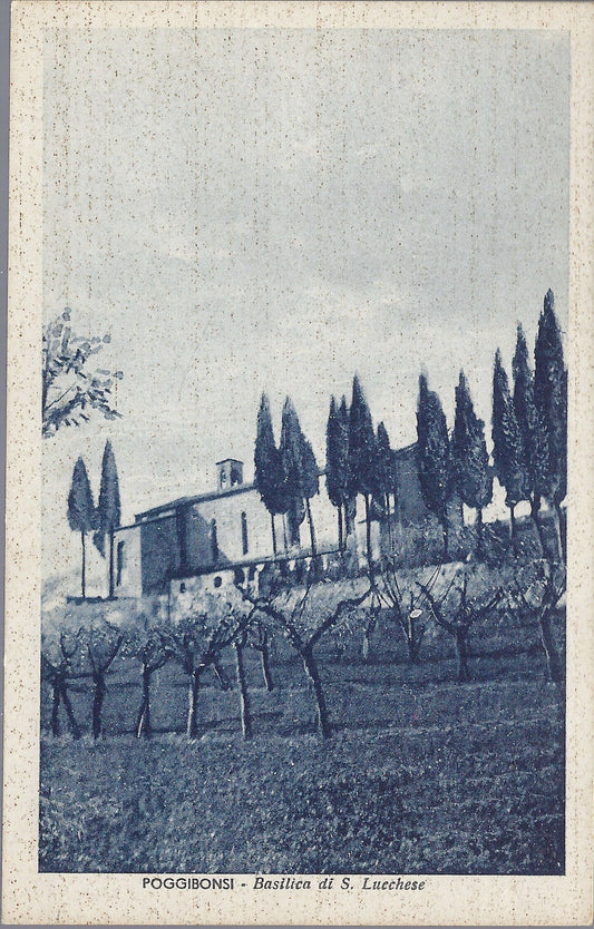 POGGIBONSI - BASILICA DI S. LUCCHESE - NV - FP - azzurrata