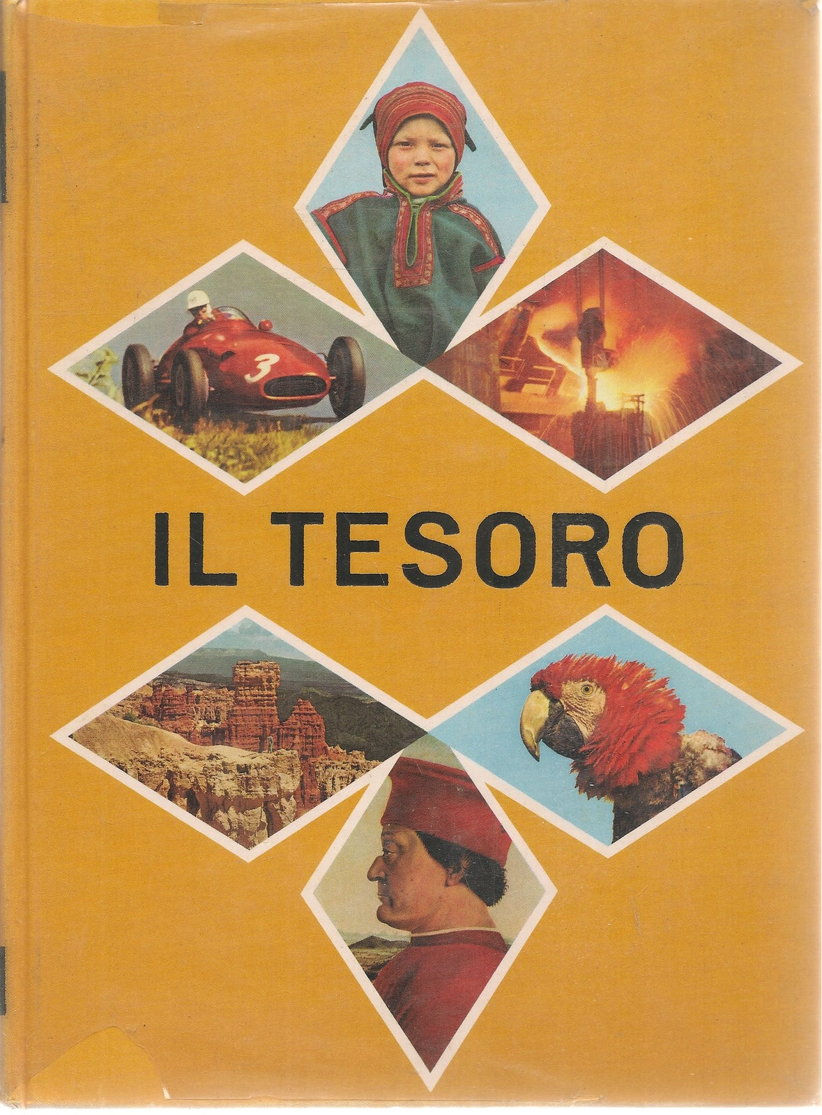 IL TESORO - L'ENCICLPPEDIA PER I RAGAZZI - VOL 5
