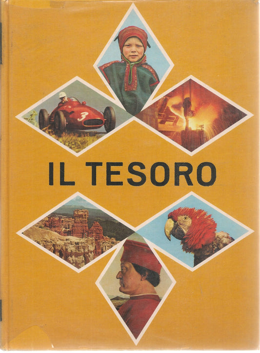 IL TESORO - L'ENCICLPPEDIA PER I RAGAZZI - VOL 5
