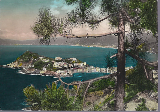 SESTRI LEVANTE - LA PENISOLA TRA I PINI - V 1953 - FG - ACQU