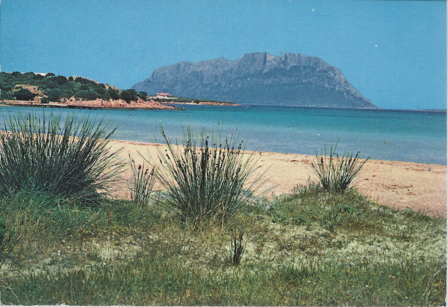 OLBIA - ISOLA DI TAVOLARA - VIB1980