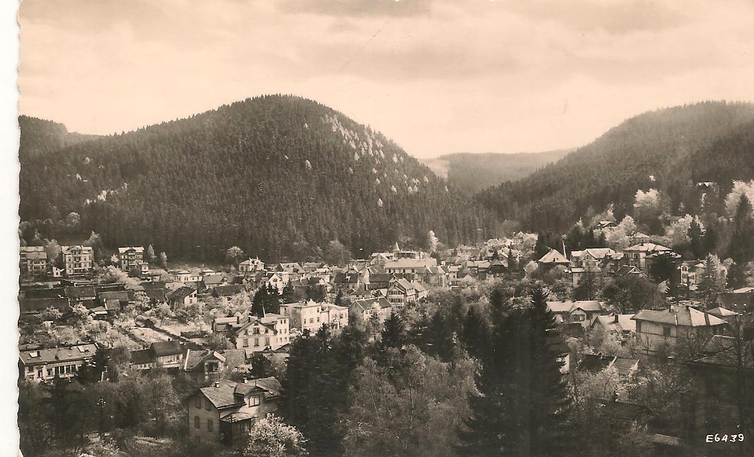 FRIEDRICHRODA - PANORAMA - NV