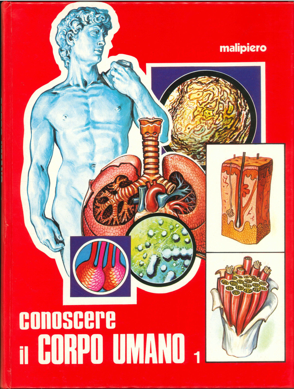CONOSCERE IL CORPO UMANO -2 VOLUMI - MALIPERO