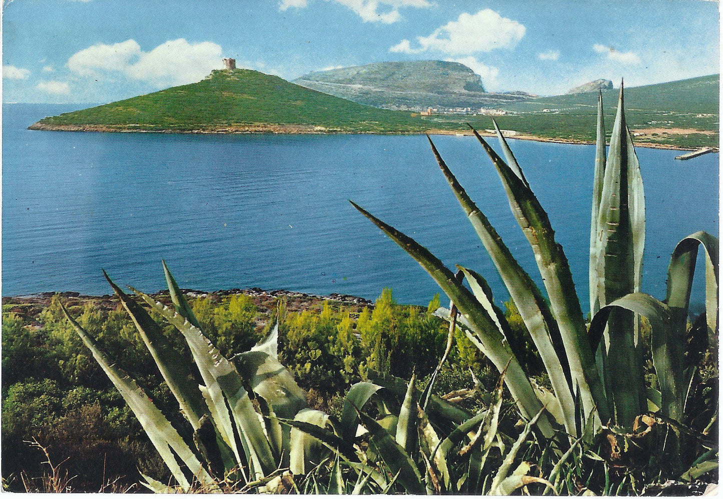 CAPO CACCIA - SARDEGNA PITTORESCA - V 1972 - FG