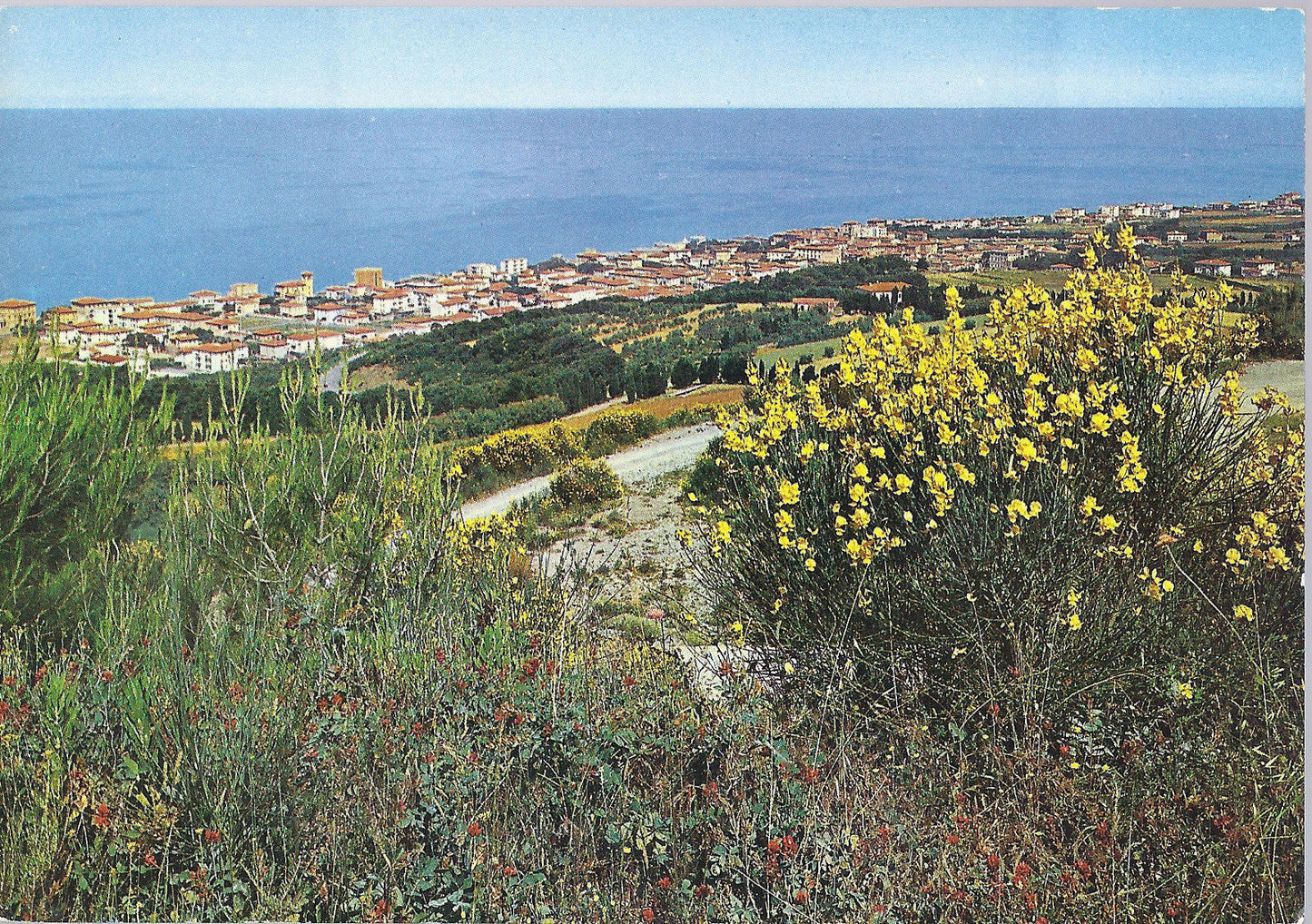 LIVORNO - ANTIGNANO - PANORAMA - NV - FG