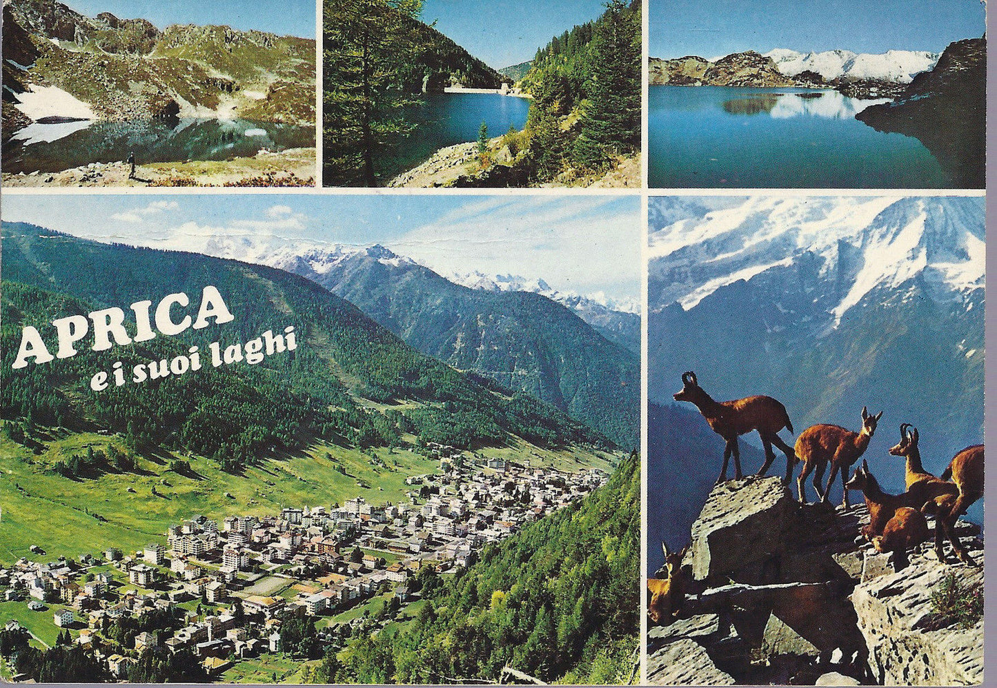APRICA E I SUOI LAGHI - 5 VEDUTE - V 1982 - FG