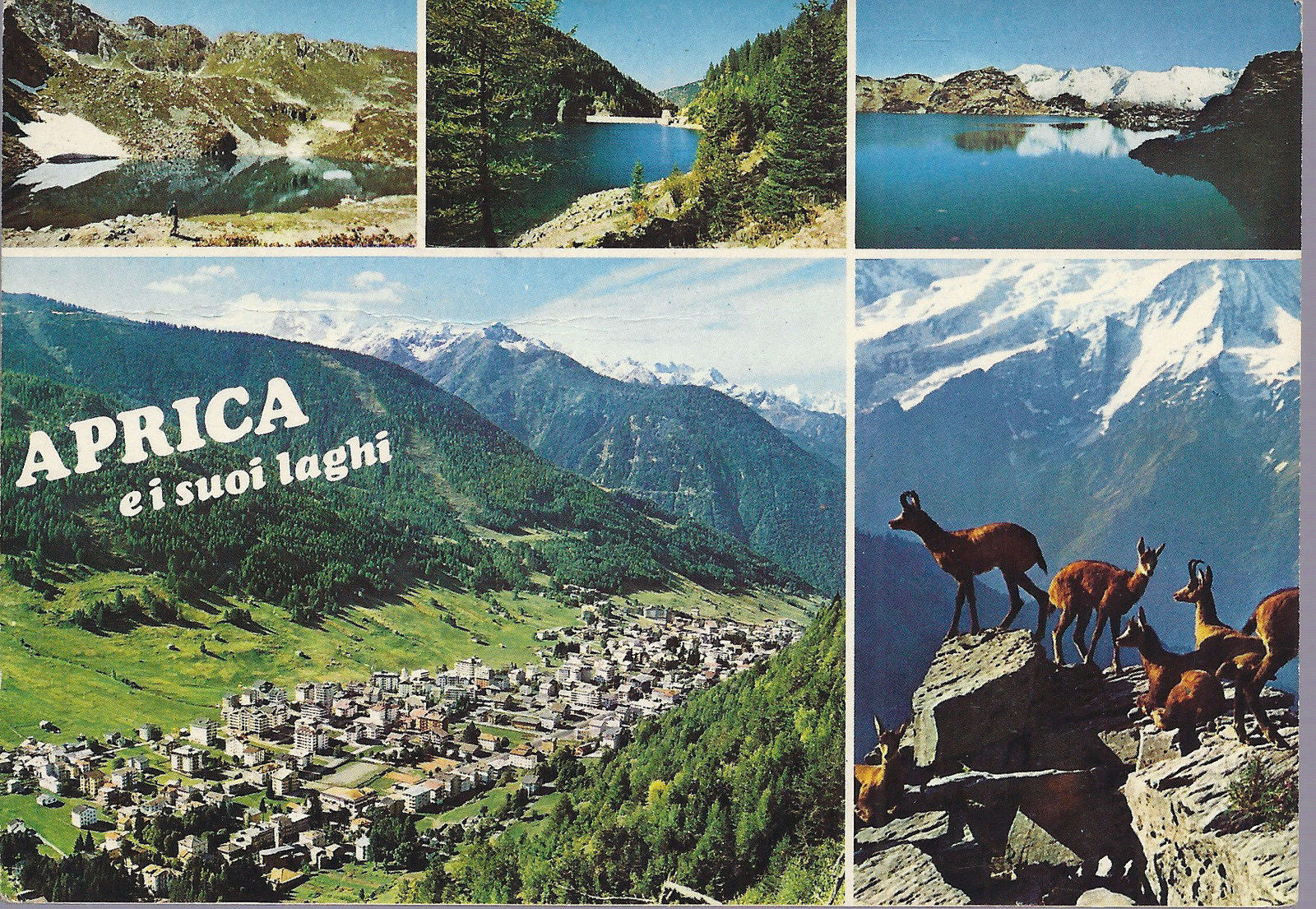APRICA E I SUOI LAGHI - 5 VEDUTE - V 1982 - FG