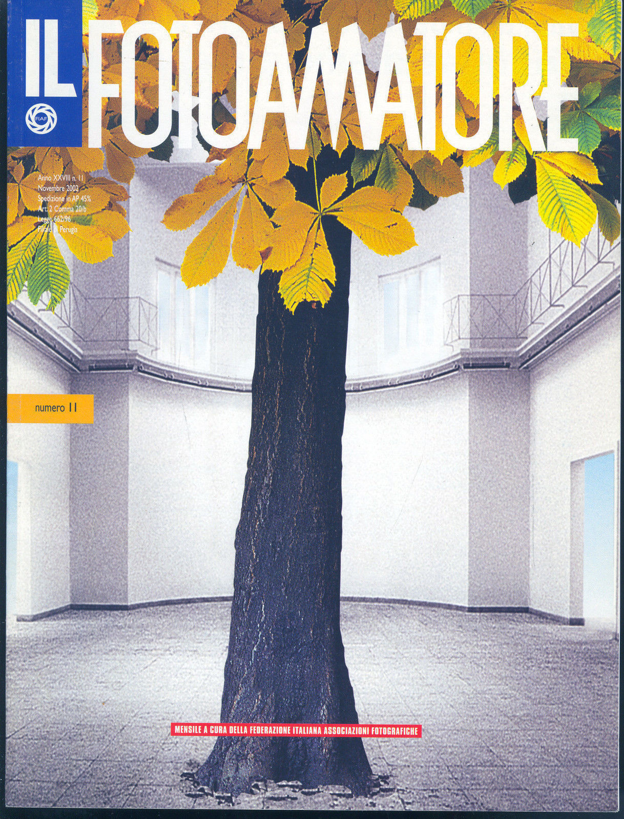 IL FOTOAMATORE N 11 - NOVEMBRE 2002